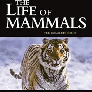 The Life of Mammals Sir David Attenborough 2012 DVD Top-quality