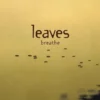 Breathe Leaves 2002 CD Top-quality Free UK shipping