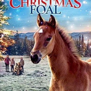 The Christmas Foal Tyrone Power 2013 DVD Top-quality Free UK shipping