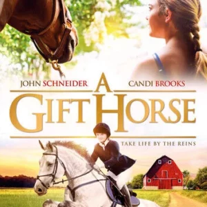 A Gift Horse Tina Davey 2016 DVD Top-quality Free UK shipping