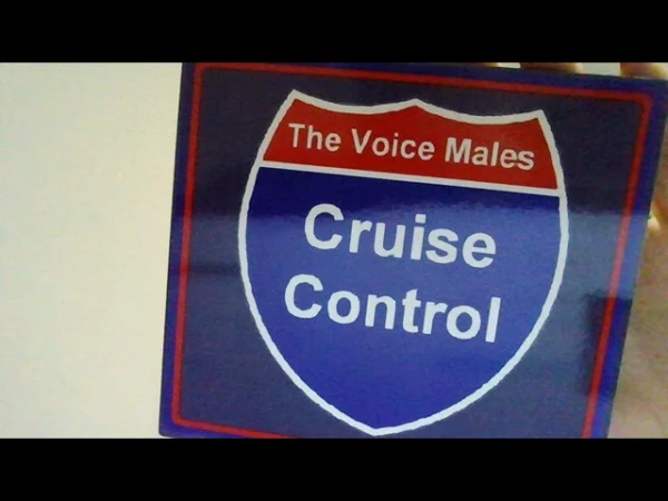 The voice Males Cruise control 2007 CD Top-quality Free UK shipping