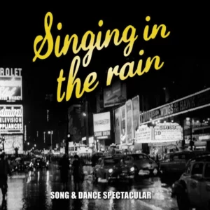 Singing in the Rain Various Artists 2004 CD Top-quality Free UK shipping