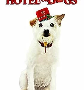 Hotel For Dogs Emma Roberts 2011 DVD Top-quality Free UK shipping