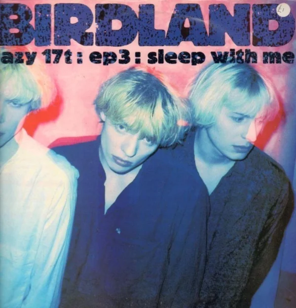 EP3 Sleep With Me Birdland 1990 Records Top-quality Free UK shipping