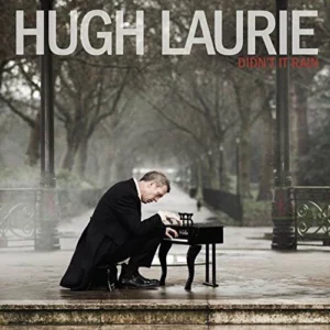 Didn't It Rain Hugh Laurie 2013 CD Top-quality Free UK shipping