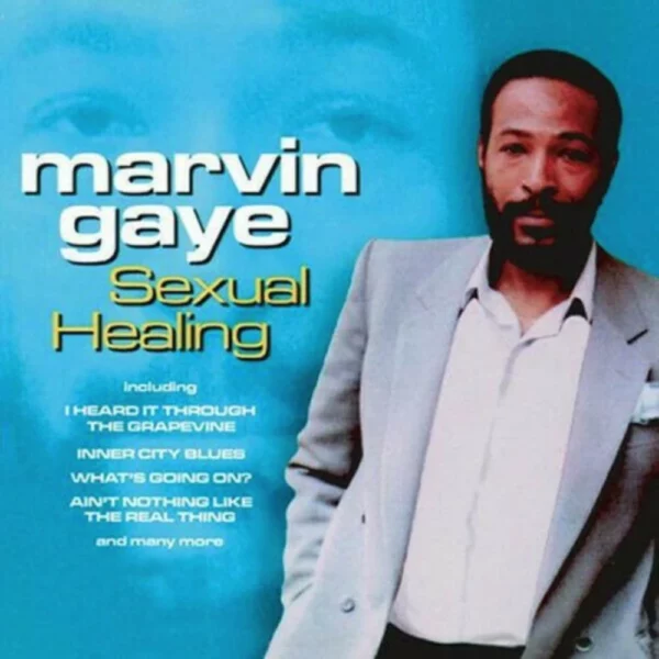 Sexual Healing Marvin Gaye 2007 CD Top-quality Free UK shipping