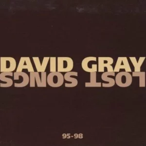 Lost Songs 95-98 David Gray 2013 CD Top-quality Free UK shipping