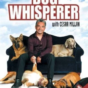 Dog Whisperer: Fears And Phobias Cesar Millan 2009 DVD Top-quality