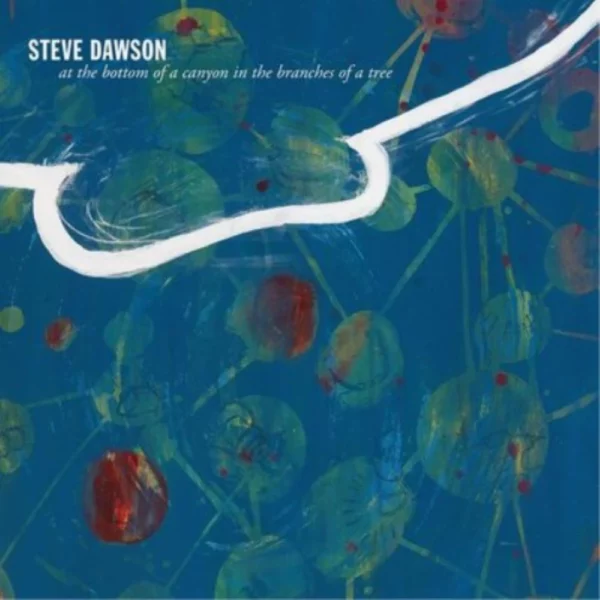 At the Bottom of a Canyon in the Branches of Tree Steve Dawson 2021 CD