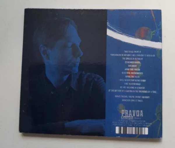 At the Bottom of a Canyon in the Branches of Tree Steve Dawson 2021 CD