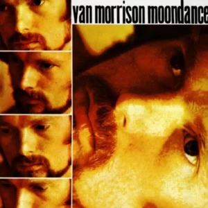 Moondance Van Morrison 1991 CD Top-quality Free UK shipping