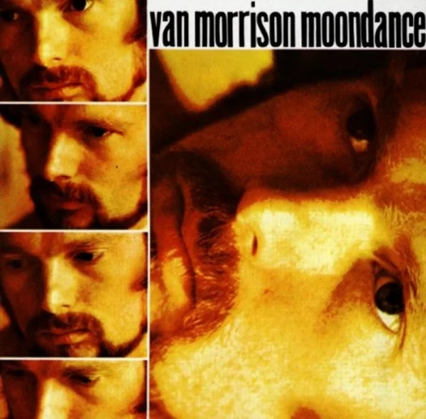 Moondance Van Morrison 1991 CD Top-quality Free UK shipping