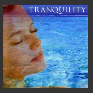 Tranquility Hogarty Steve 2003 CD Top-quality Free UK shipping