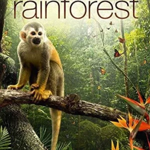 Rainforest 2012 DVD Top-quality Free UK shipping