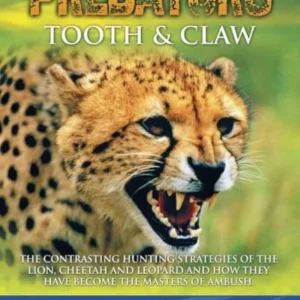 Predators - Tooth And Claw Gene Galusha 2005 DVD Top-quality Free UK shipping