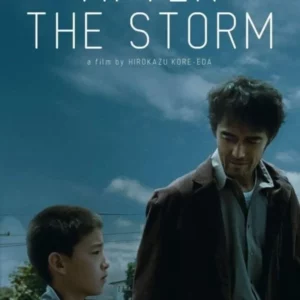 After The Storm 2018 New DVD Top-quality Free UK shipping