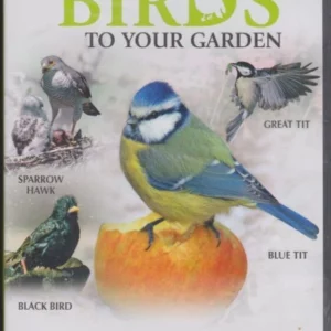 How To Attract Birds To Your Garden: Spring Unknown Actor DVD Top-quality