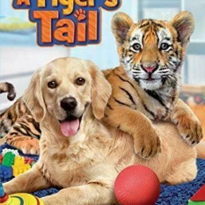 A Tiger's Tail Will Spencer 2014 DVD Top-quality Free UK shipping