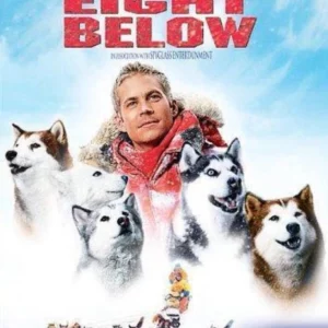 Eight Below Belinda Metz 2006 DVD Top-quality Free UK shipping