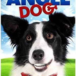 Angel Dog Jon Michael Davis 2013 New DVD Top-quality Free UK shipping