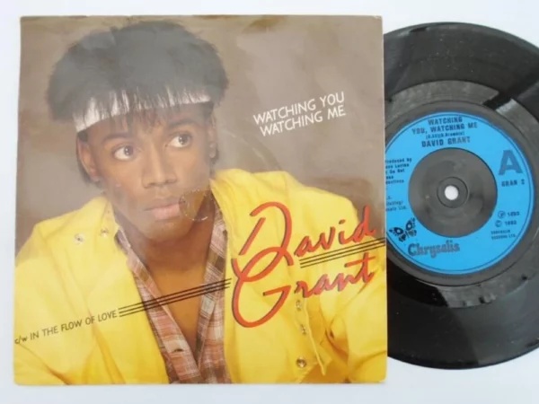 Watching You Watching Me DAVID GRANT 1983 Records Top-quality Free UK shipping