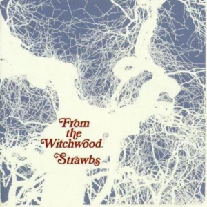 From The Witchwood Strawbs CD Top-quality Free UK shipping