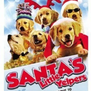 Santa's Little Yelpers Andrew Beckham 2012 DVD Top-quality Free UK shipping