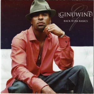 Back II Da Basics Ginuwine CD Top-quality Free UK shipping