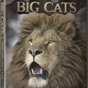 BIG CATS: Into The Lion's Den Dave Salmoni 2013 DVD Top-quality