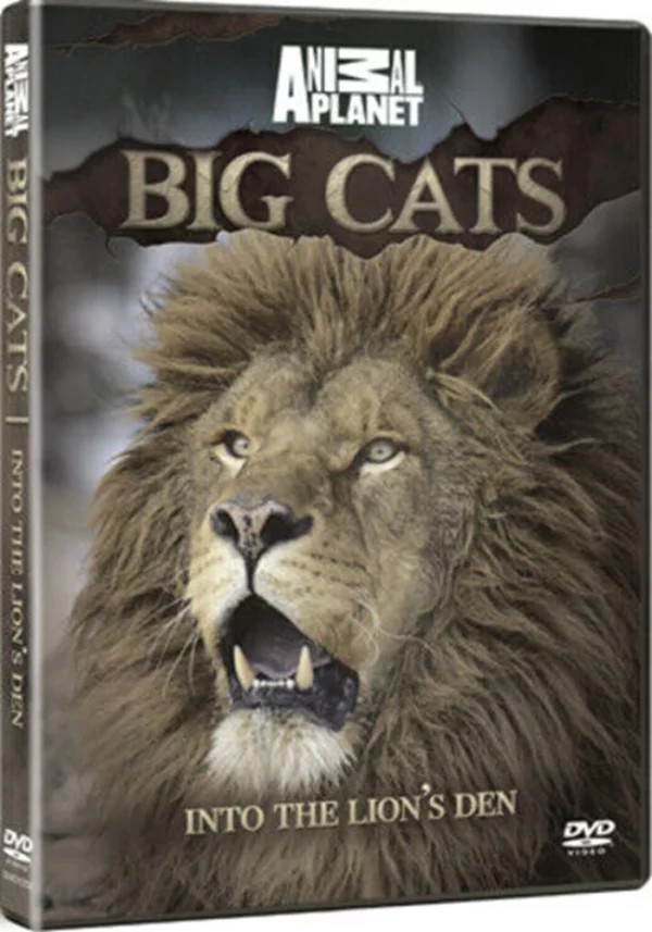 BIG CATS: Into The Lion's Den Dave Salmoni 2013 DVD Top-quality