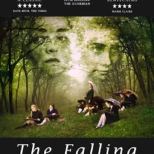 The Falling Maxine Peake 2015 DVD Top-quality Free UK shipping