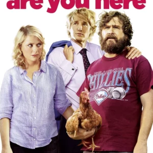 Are You Here Owen Wilson 2015 DVD Top-quality Free UK shipping