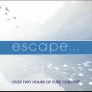 Escape Various Artists 2008 CD Top-quality Free UK shipping