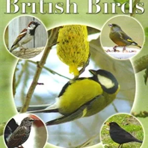 Attracting British Birds 2007 New DVD Top-quality Free UK shipping