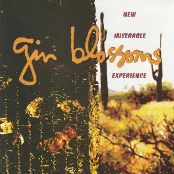 New Miserable Experience Gin Blossoms 2000 CD Top-quality Free UK shipping