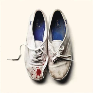 Reign of Terror Sleigh Bells 2012 CD Top-quality Free UK shipping