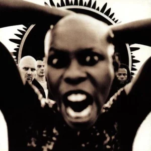 Stoosh Skunk Anansie 2007 CD Top-quality Free UK shipping