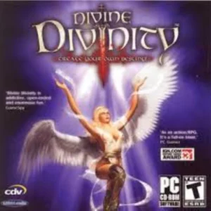 Divine Divinity (PC) PC Top-quality Free UK shipping