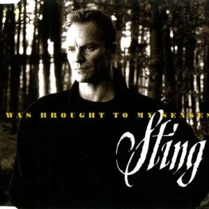 I Was Brought To My Senses Sting 1996 CD Top-quality Free UK shipping