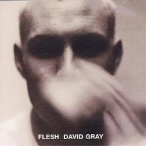 Flesh David Gray 2001 CD Top-quality Free UK shipping