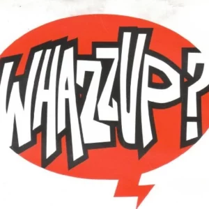 Whazzup The True Party 2000 CD Top-quality Free UK shipping