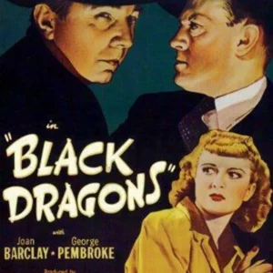 Black Dragons John Wayne 2009 DVD Top-quality Free UK shipping