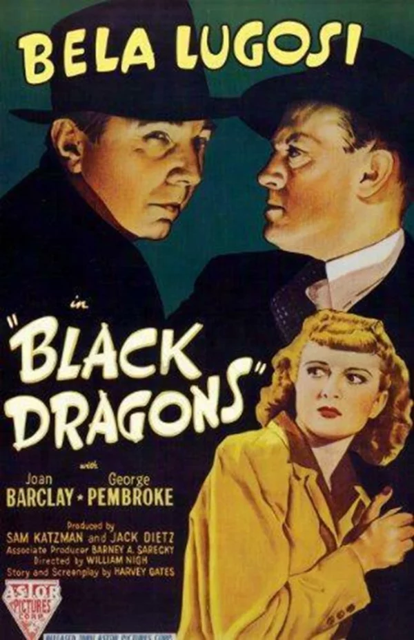 Black Dragons John Wayne 2009 DVD Top-quality Free UK shipping