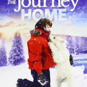 The Journey Home Bridget Moynahan 2016 DVD Top-quality Free UK shipping