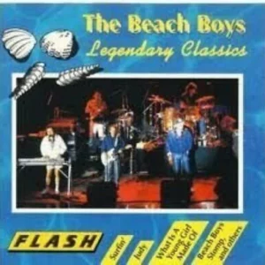 Beach Boys Beach Boys 1993 CD Top-quality Free UK shipping