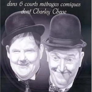 Laurel And Hardy - Classic Comedy Shorts - Vol. 7 Stan Laurel DVD Top-quality