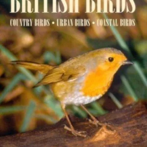 A Comprehensive Guide To British Birds 2004 DVD Top-quality Free UK shipping