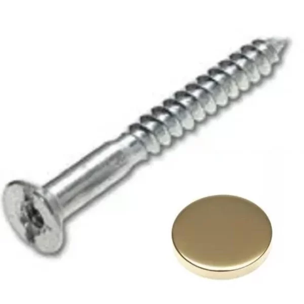 Mirror Screw Disc head 38mm Top-quality Free UK shipping