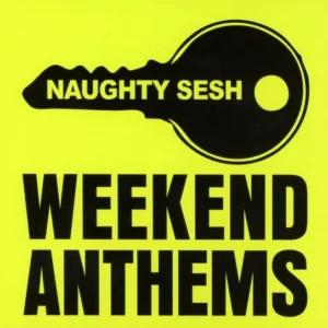 Naughty Sesh: Weekend Anthems Various CD Top-quality Free UK shipping