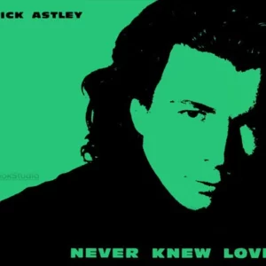 Never Knew Love Rick Astley CD Top-quality Free UK shipping